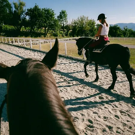 アパートホテル La Piazza Di San Donato レッジェッロ
