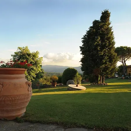 La Piazza Di San Donato *